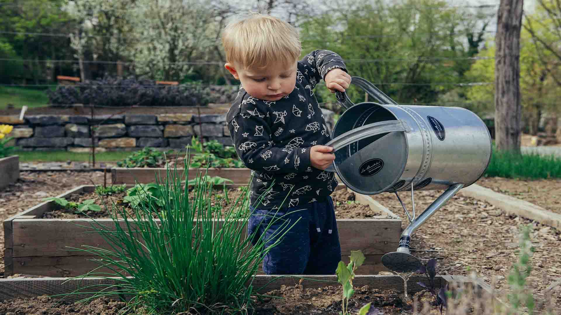 Niño de corta edad regando plantas